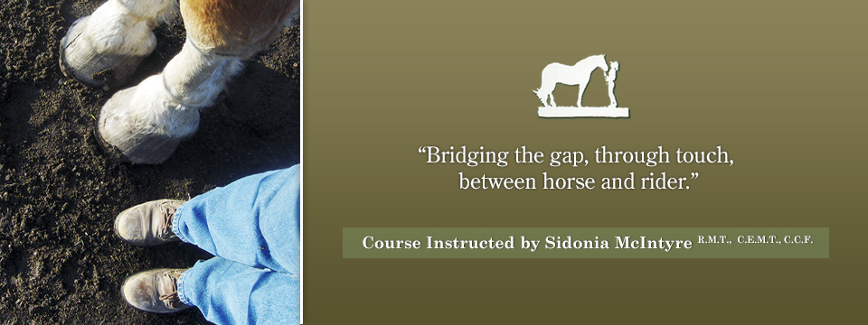 Slide 1 – Bridging the Gap