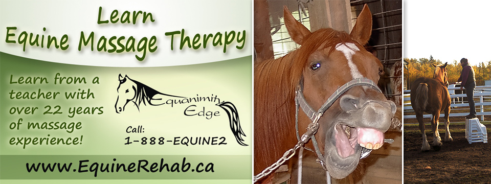 Slide 2 – Learn Massage